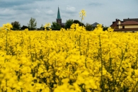 Heimat_DSC02722-20