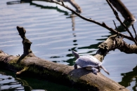 Heimat_IMG_0599-38