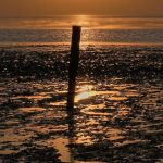 Sonnenuntergang von Heinz Robertz