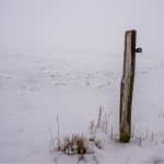 Schnee im Feld von Michael Jungen