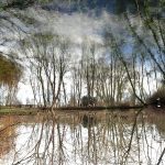 Spiegelung von Willi Aus Bergheim
