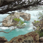titelthema Natur von Michaela Gerads#1